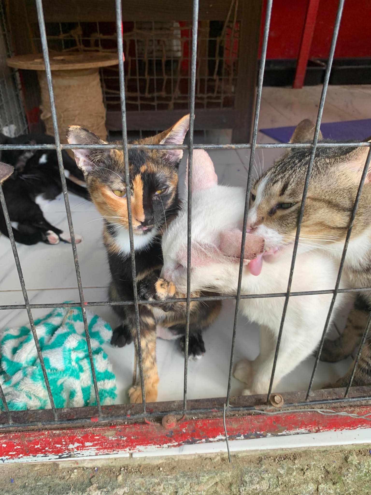 กิจกรรมซ่อมแซมบ้านพัก
