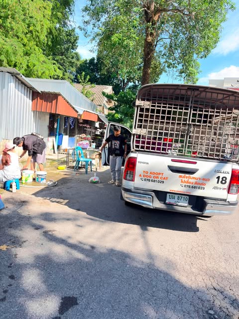 ป้ายซอยด็อกทำหมันฟรี